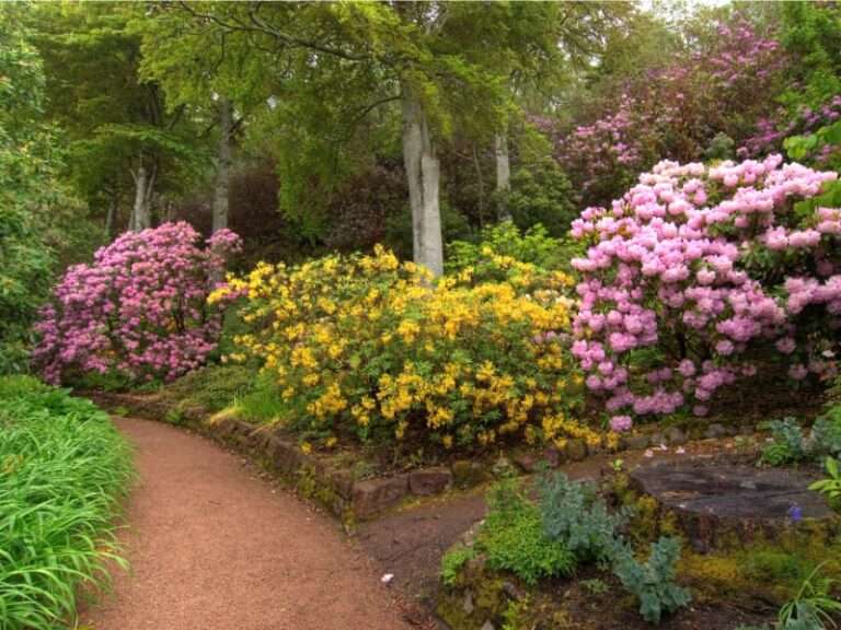 Inverewe Garden - Grant Driving Tours